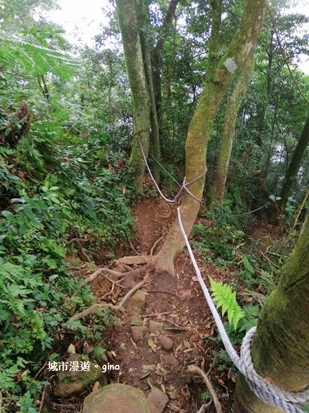 IMG_20200222_143223.jpg IMG_20200222_143223.jpg