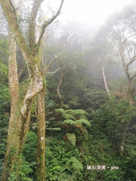 IMG_20200222_142527.jpg IMG_20200222_142527.jpg