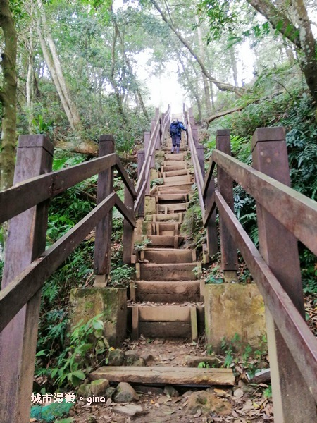 IMG_20200222_145344.jpg IMG_20200222_145344.jpg