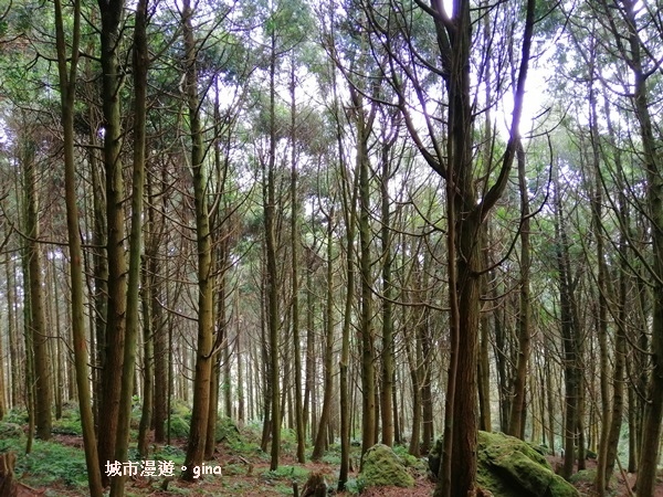 IMG_20200222_141313.jpg IMG_20200222_141313.jpg