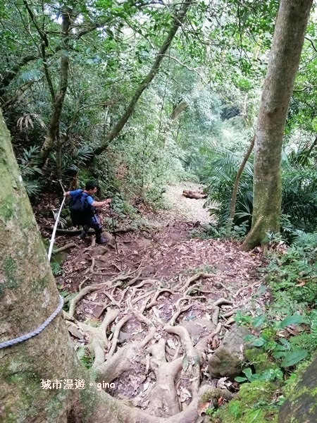 IMG_20200222_152158.jpg IMG_20200222_152158.jpg