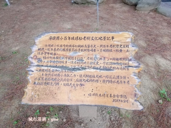 IMG_20200222_174947.jpg IMG_20200222_174947.jpg