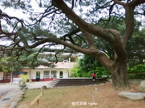 IMG_20200222_175212.jpg IMG_20200222_175212.jpg