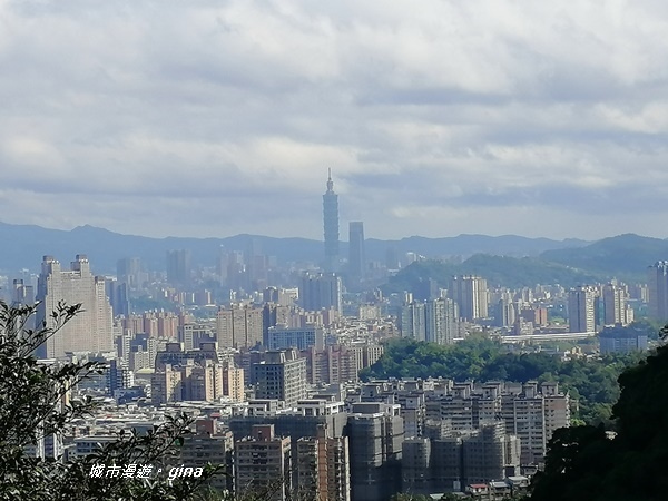 IMG_20200228_093758.jpg IMG_20200228_093758.jpg