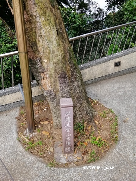 IMG_20200228_100037.jpg IMG_20200228_100037.jpg