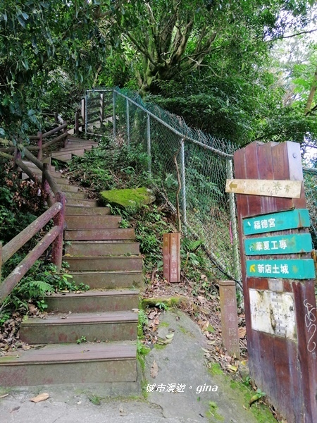 IMG_20200228_100202.jpg IMG_20200228_100202.jpg