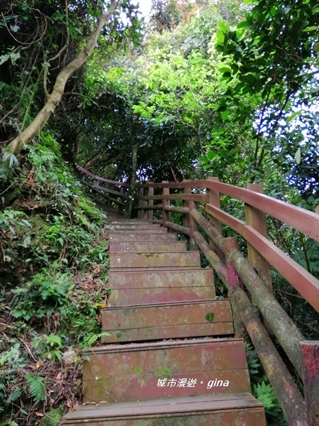 【新北中和】登山拜佛。 No16小百岳南勢角山302 M