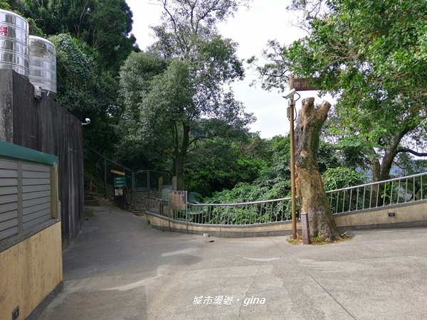 IMG_20200228_100048.jpg IMG_20200228_100048.jpg