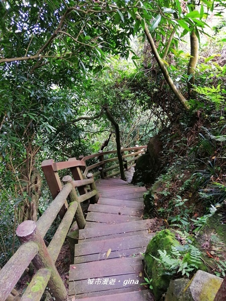 IMG_20200228_100355.jpg IMG_20200228_100355.jpg