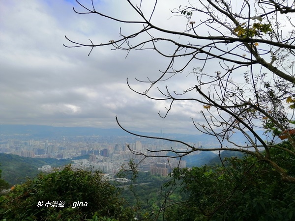 IMG_20200228_100425.jpg IMG_20200228_100425.jpg