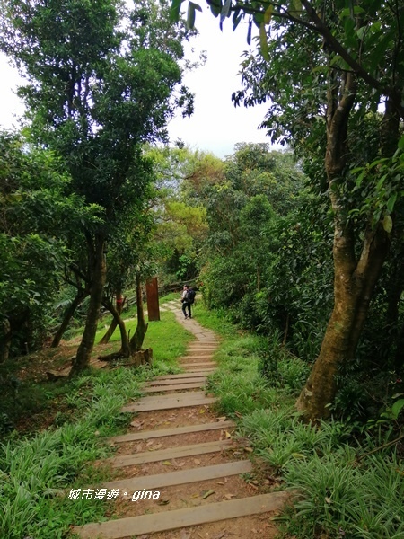 【新北中和】登山拜佛。 No16小百岳南勢角山302 M