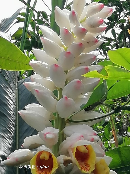 IMG_20200228_101552.jpg IMG_20200228_101552.jpg