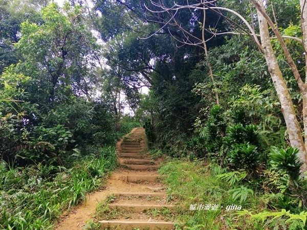 【新北中和】登山拜佛。 No16小百岳南勢角山302 M