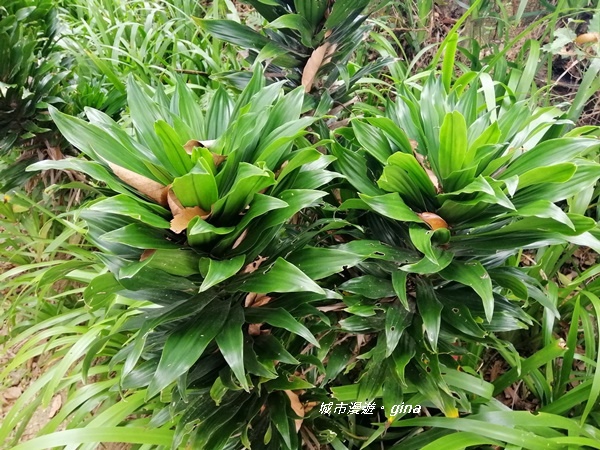 IMG_20200228_101001.jpg IMG_20200228_101001.jpg