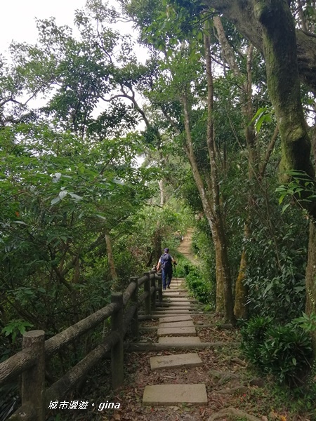 IMG_20200228_100853.jpg IMG_20200228_100853.jpg