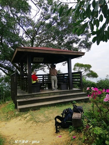 IMG_20200228_101828.jpg IMG_20200228_101828.jpg