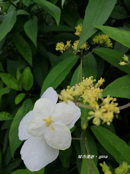 IMG_20200228_100513.jpg IMG_20200228_100513.jpg