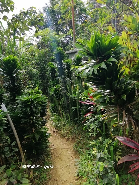 IMG_20200228_101622.jpg IMG_20200228_101622.jpg