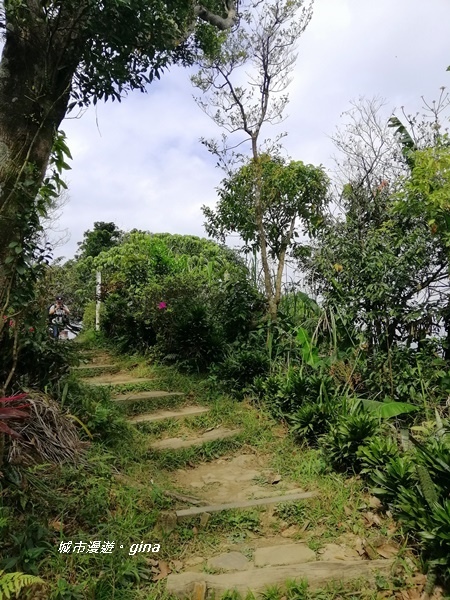 IMG_20200228_101626.jpg IMG_20200228_101626.jpg