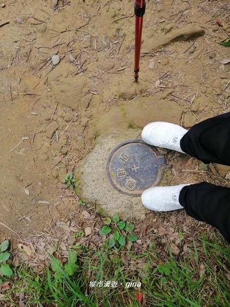 IMG_20200228_104902.jpg IMG_20200228_104902.jpg