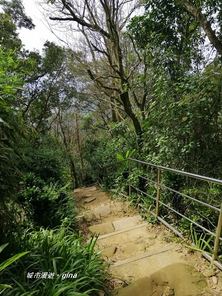 IMG_20200228_104643.jpg IMG_20200228_104643.jpg