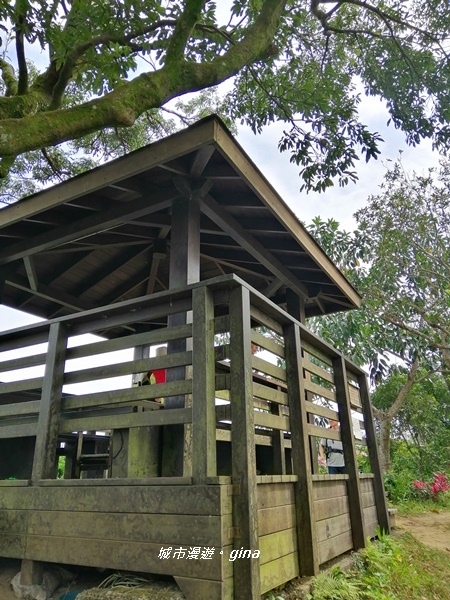 IMG_20200228_104536.jpg IMG_20200228_104536.jpg