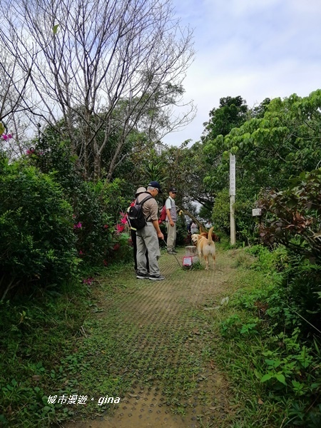 IMG_20200228_104644.jpg IMG_20200228_104644.jpg