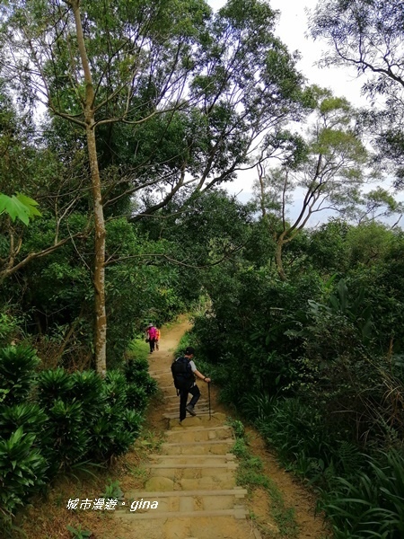 IMG_20200228_104819.jpg IMG_20200228_104819.jpg