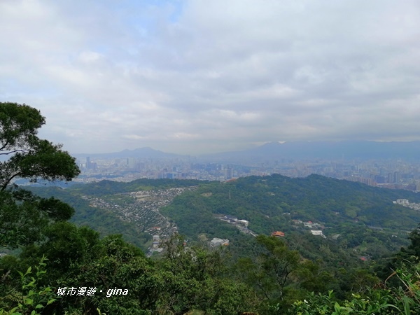 IMG_20200228_102907.jpg IMG_20200228_102907.jpg