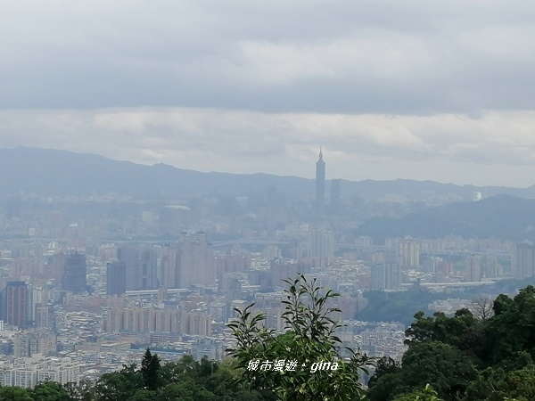 IMG_20200228_102937.jpg IMG_20200228_102937.jpg