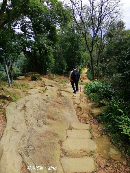 IMG_20200228_104935.jpg IMG_20200228_104935.jpg