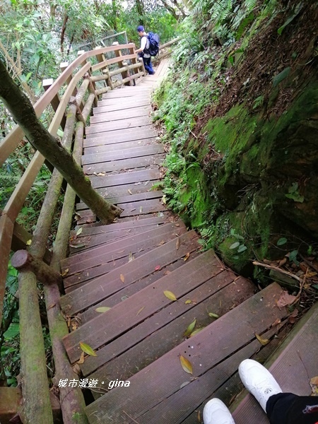 IMG_20200228_105817.jpg IMG_20200228_105817.jpg