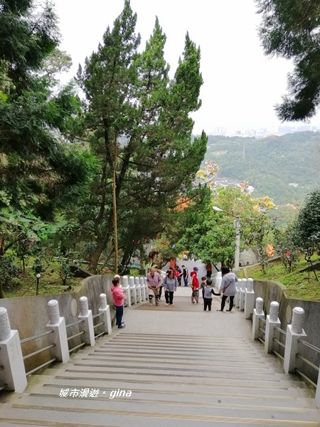 IMG_20200228_111155.jpg IMG_20200228_111155.jpg