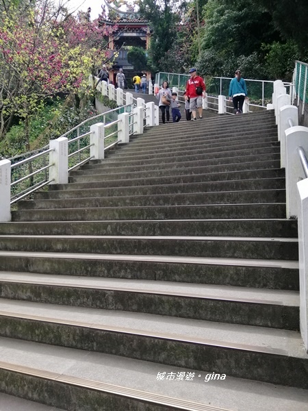 IMG_20200228_111700.jpg IMG_20200228_111700.jpg