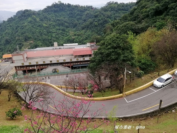 IMG_20200228_114959.jpg IMG_20200228_114959.jpg