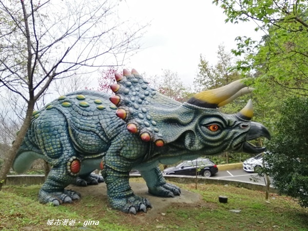 IMG_20200228_114838.jpg IMG_20200228_114838.jpg