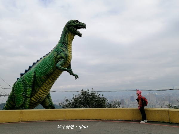 IMG_20200228_114229.jpg IMG_20200228_114229.jpg