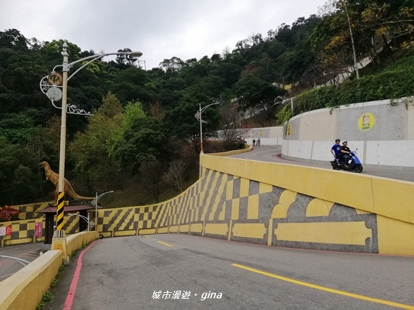 IMG_20200228_114020.jpg IMG_20200228_114020.jpg