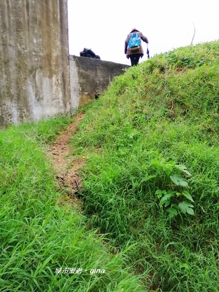 IMG_20200216_092936.jpg IMG_20200216_092936.jpg