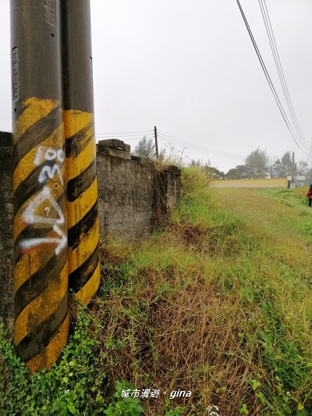 IMG_20200216_093407.jpg IMG_20200216_093407.jpg