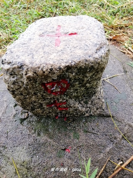 IMG_20200216_093615.jpg IMG_20200216_093615.jpg