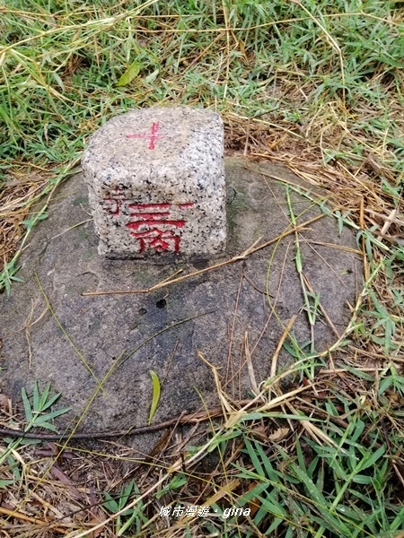 IMG_20200216_093605.jpg IMG_20200216_093605.jpg