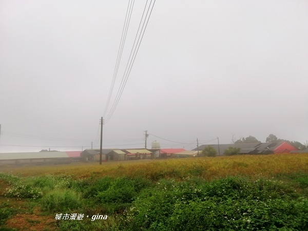 IMG_20200216_095629.jpg IMG_20200216_095629.jpg