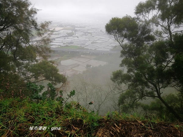 IMG_20200216_095148.jpg IMG_20200216_095148.jpg