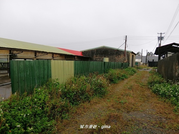 IMG_20200216_095748.jpg IMG_20200216_095748.jpg