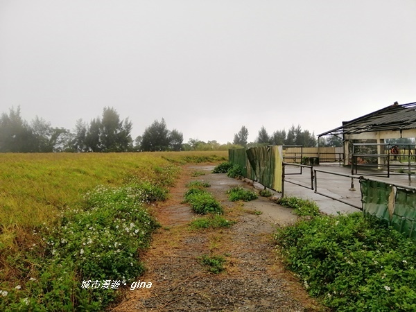 IMG_20200216_095755.jpg IMG_20200216_095755.jpg