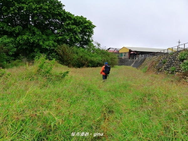 IMG_20200216_100430.jpg IMG_20200216_100430.jpg