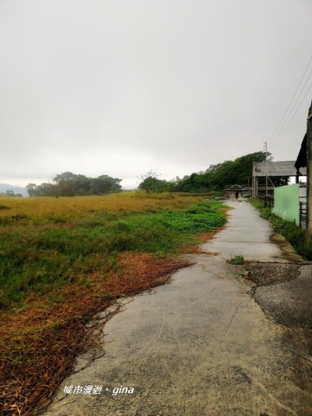 IMG_20200216_095843.jpg IMG_20200216_095843.jpg