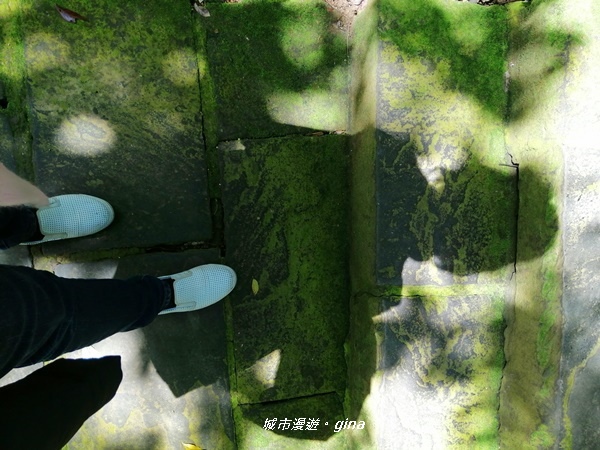 IMG_20200306_114852.jpg IMG_20200306_114852.jpg