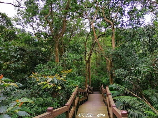 【台北大安】城市裡的綠意盎然。 富陽自然生態公園